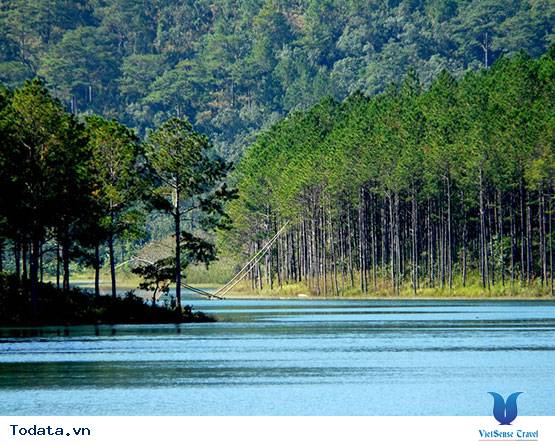 Hồ Tuyền Lâm Có Gì Đặc Sắc - Ảnh 1 Hồ Tuyền Lâm Có Gì Đặc Sắc - Ảnh 1