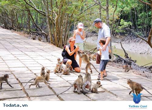 Hòa Mình Với Thiên Nhiên Khi Du Lịch Đảo Khỉ Nha Trang - Ảnh 2