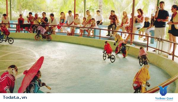 Hòa Mình Với Thiên Nhiên Khi Du Lịch Đảo Khỉ Nha Trang - Ảnh 3