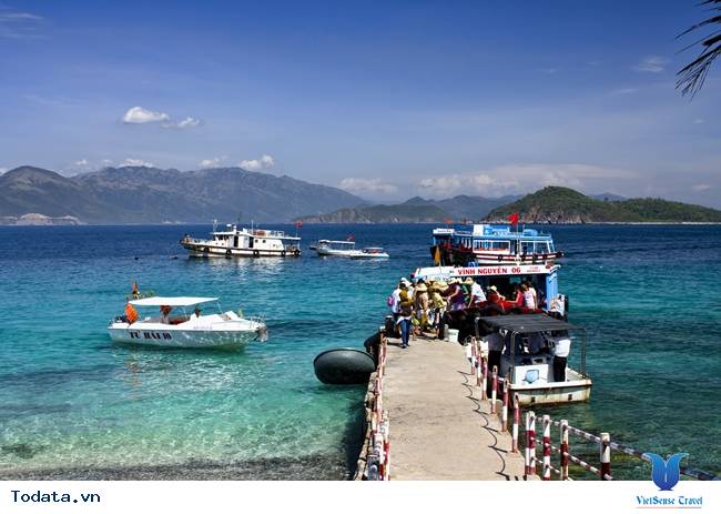 Hòn Mun Nha Trang - Vẻ Đẹp Từ Đáy Biển - Ảnh 6