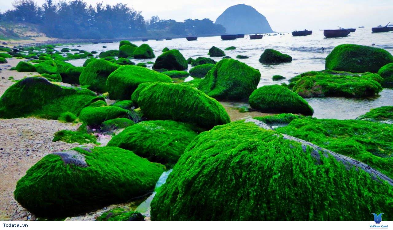 Hòn Yến nên thơ ở Phú Yên - Ảnh 5