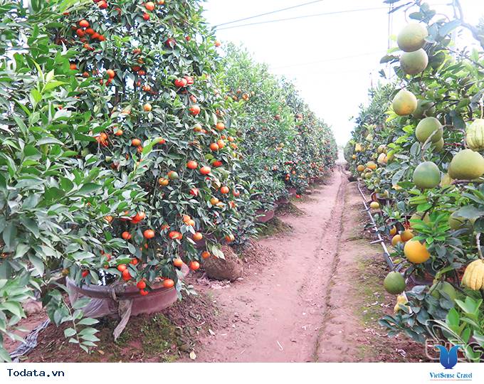 Hưng Yên – Điểm dừng chân thú vị cho du khách ưa khám phá - Ảnh 4