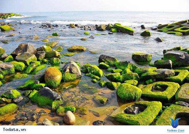 Kè chắn sóng Xóm Rớ thành bãi đá rêu xanh hút hồn du khách - Ảnh 1 Kè chắn sóng Xóm Rớ thành bãi đá rêu xanh hút hồn du khách - Ảnh 1
