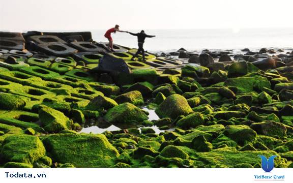 Kè chắn sóng Xóm Rớ thành bãi đá rêu xanh hút hồn du khách - Ảnh 4 Kè chắn sóng Xóm Rớ thành bãi đá rêu xanh hút hồn du khách - Ảnh 4