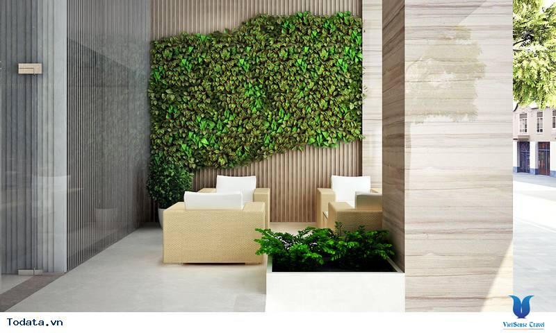 Khách Sạn Stella Maris Nha Trang - Ảnh 4