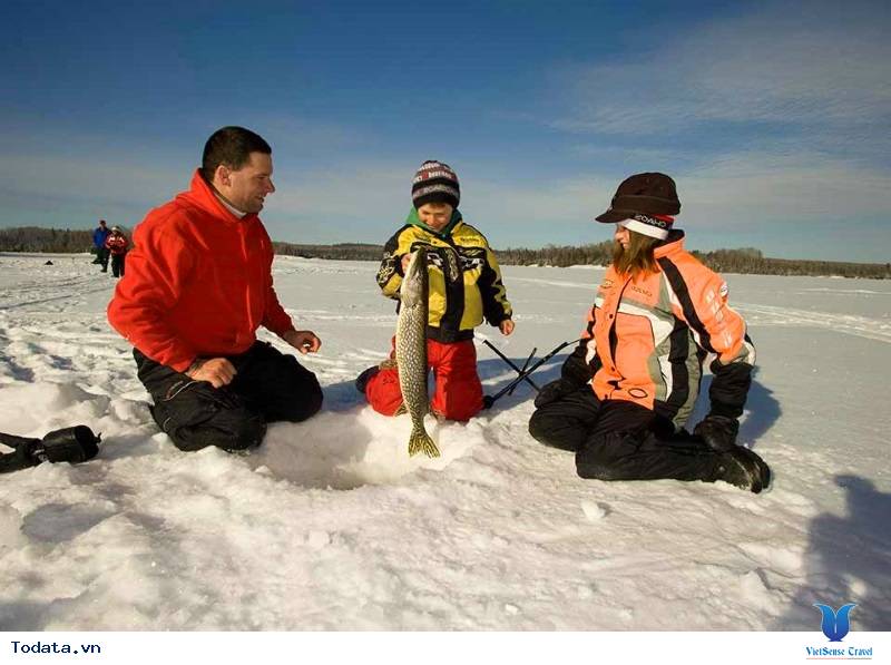 Khám Phá Bắc Cực - Săn Bắc Cực Quang - Ảnh 7 Khám Phá Bắc Cực - Săn Bắc Cực Quang - Ảnh 7