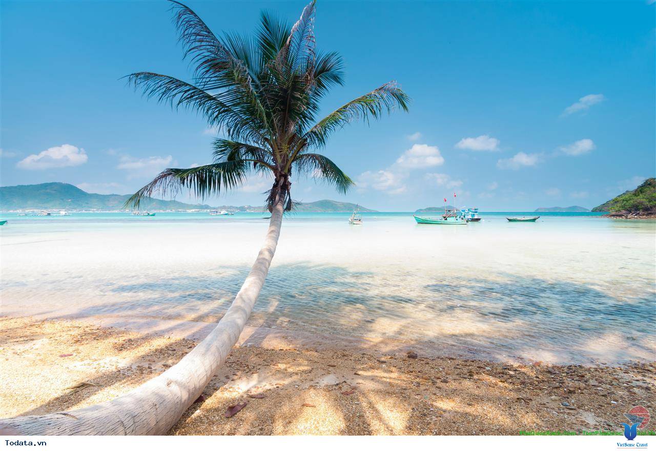 Khám Phá Bãi Sao- bãi biển đẹp nhất Việt Nam - Ảnh 2