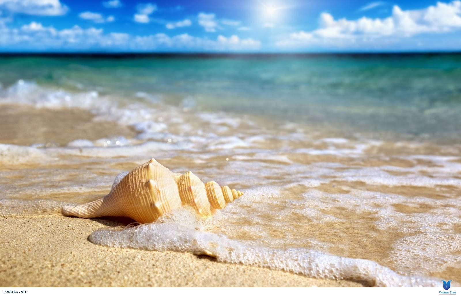 Khám Phá Bãi Sao- bãi biển đẹp nhất Việt Nam - Ảnh 8