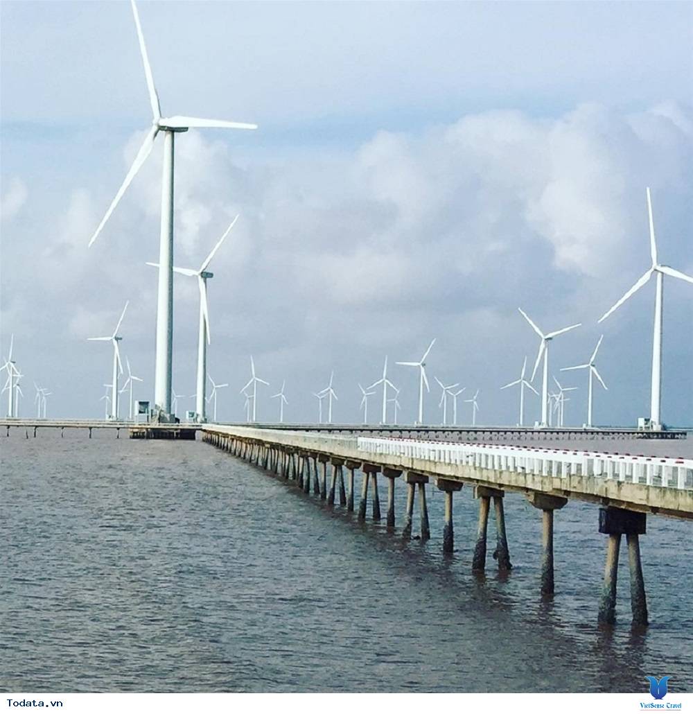 Khám phá cánh đồng quạt gió lớn nhất Việt Nam - Ảnh 1