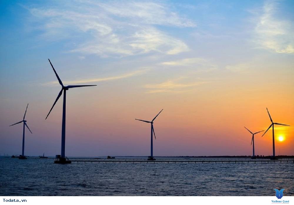 Khám phá cánh đồng quạt gió lớn nhất Việt Nam - Ảnh 2