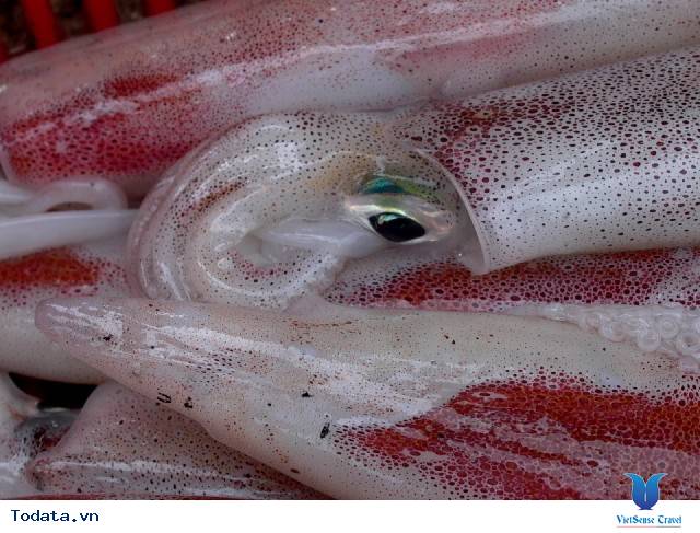 Khám Phá Chợ Hải Sản Cửa Lò - Ảnh 5 Khám Phá Chợ Hải Sản Cửa Lò - Ảnh 5