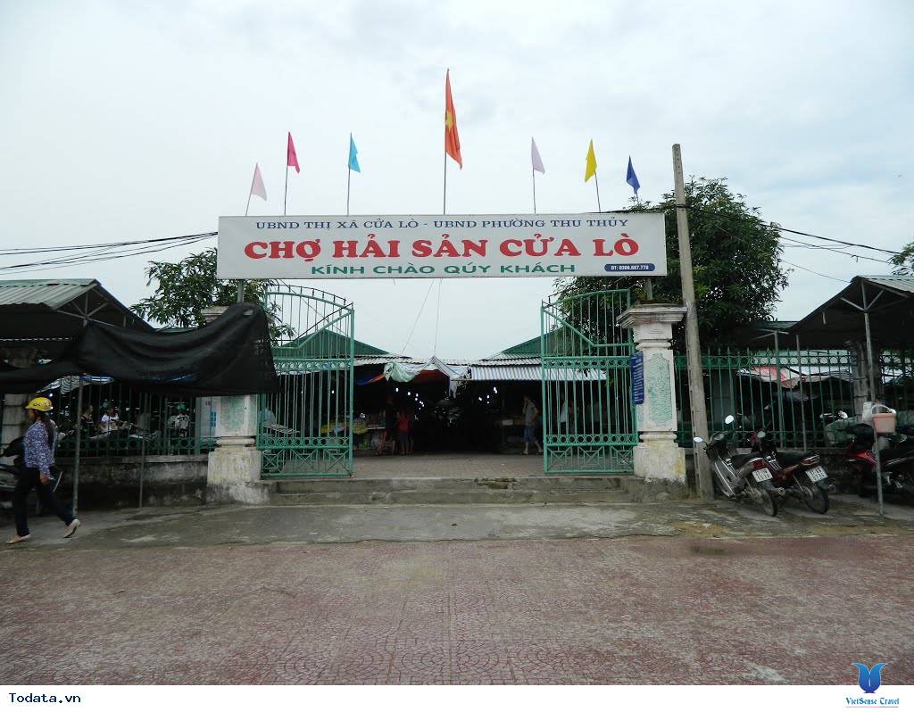 Khám Phá Chợ Hải Sản Cửa Lò - Ảnh 1 Khám Phá Chợ Hải Sản Cửa Lò - Ảnh 1
