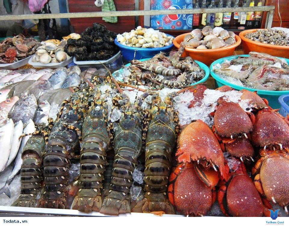 Khám Phá Chợ Hải Sản Cửa Lò - Ảnh 2 Khám Phá Chợ Hải Sản Cửa Lò - Ảnh 2