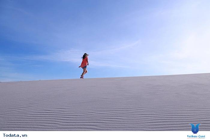 Khám Phá Đồi Cát Lớn Nhất Quảng Bình - Ảnh 2 Khám Phá Đồi Cát Lớn Nhất Quảng Bình - Ảnh 2