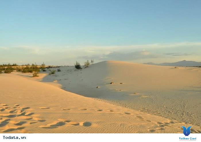 Khám Phá Đồi Cát Lớn Nhất Quảng Bình - Ảnh 5 Khám Phá Đồi Cát Lớn Nhất Quảng Bình - Ảnh 5