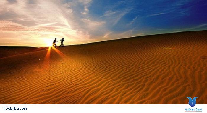 Khám Phá Đồi Cát Lớn Nhất Quảng Bình - Ảnh 4 Khám Phá Đồi Cát Lớn Nhất Quảng Bình - Ảnh 4