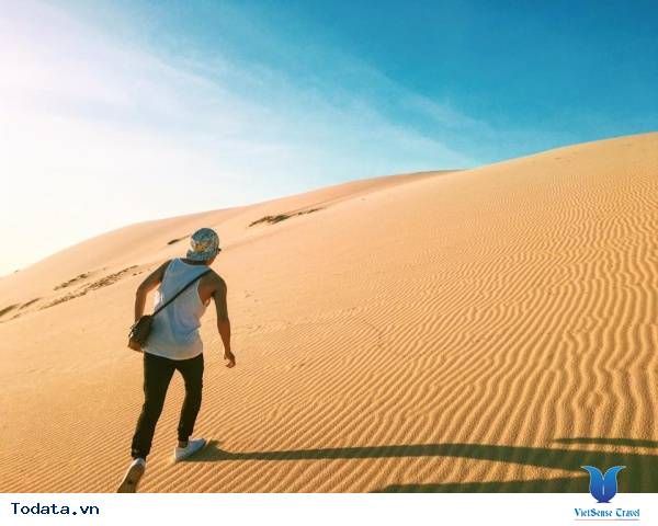 Khám Phá Đồi Cát Lớn Nhất Quảng Bình - Ảnh 9 Khám Phá Đồi Cát Lớn Nhất Quảng Bình - Ảnh 9