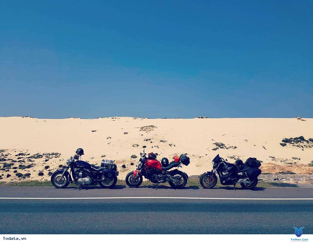 Khám Phá Đồi Cát Lớn Nhất Quảng Bình - Ảnh 7 Khám Phá Đồi Cát Lớn Nhất Quảng Bình - Ảnh 7