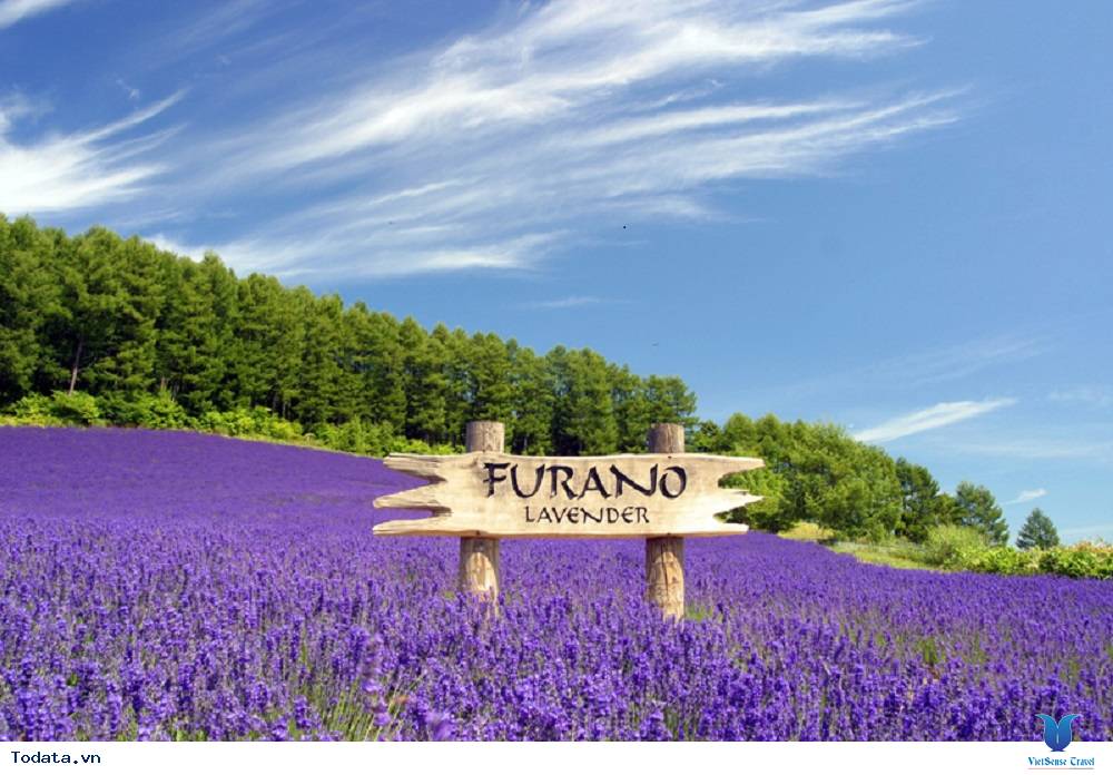 Khám phá hòn ngọc lục bảo của Nhật Bản - Ảnh 3 Khám phá hòn ngọc lục bảo của Nhật Bản - Ảnh 3