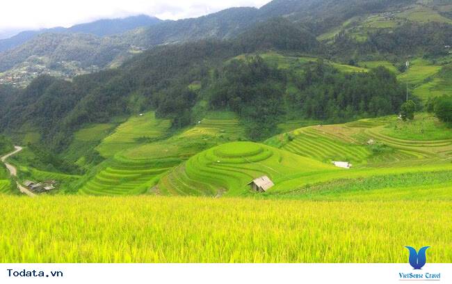 Khám Phá Nét Hoang Sơ Của Mù Cang Chải - Ảnh 1