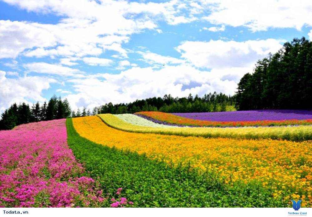 Khám phá những địa điểm mới ở Nhật Bản - Ảnh 2