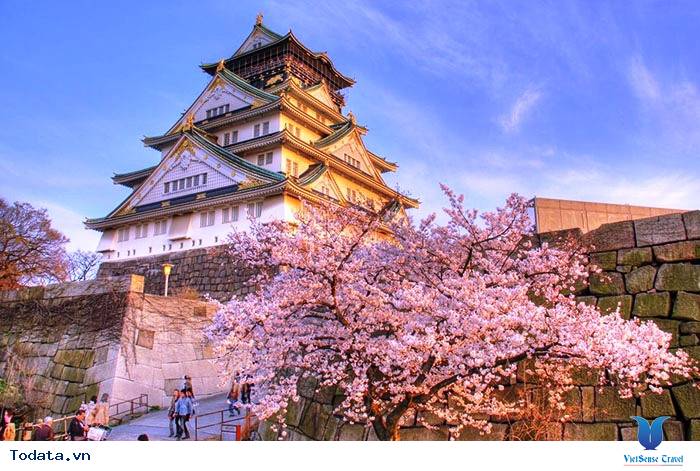 Khám phá những vùng đất nổi tiếng khi đi du lịch Nhật Bản - Ảnh 1