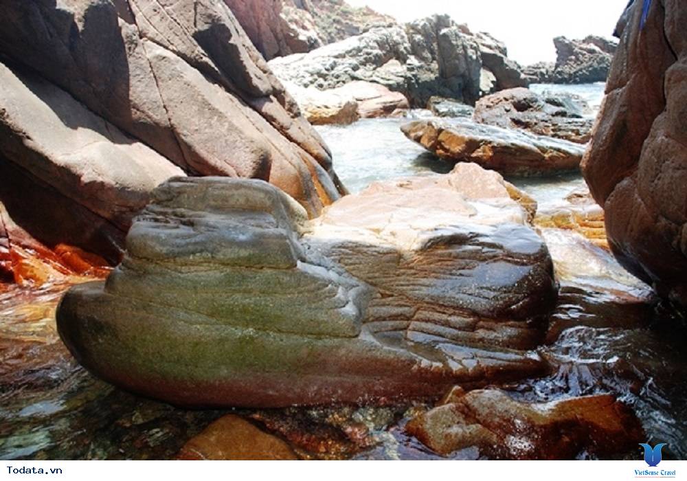 Khám phá ốc đảo hoang sơ ở Hòn Sẹo - Ảnh 3