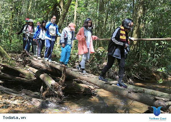 Khám phá rừng Bidoup - Ảnh 1