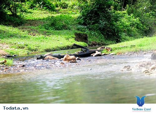 Khám phá suối nước nóng Ngư Hóa, Quảng Bình - Ảnh 1