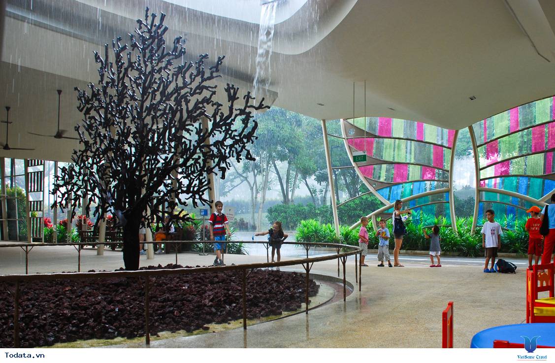 Khám Phá Thế Giới Thực Vật Tại Vườn Bách Thảo Của Singapore - Ảnh 12 Khám Phá Thế Giới Thực Vật Tại Vườn Bách Thảo Của Singapore - Ảnh 12