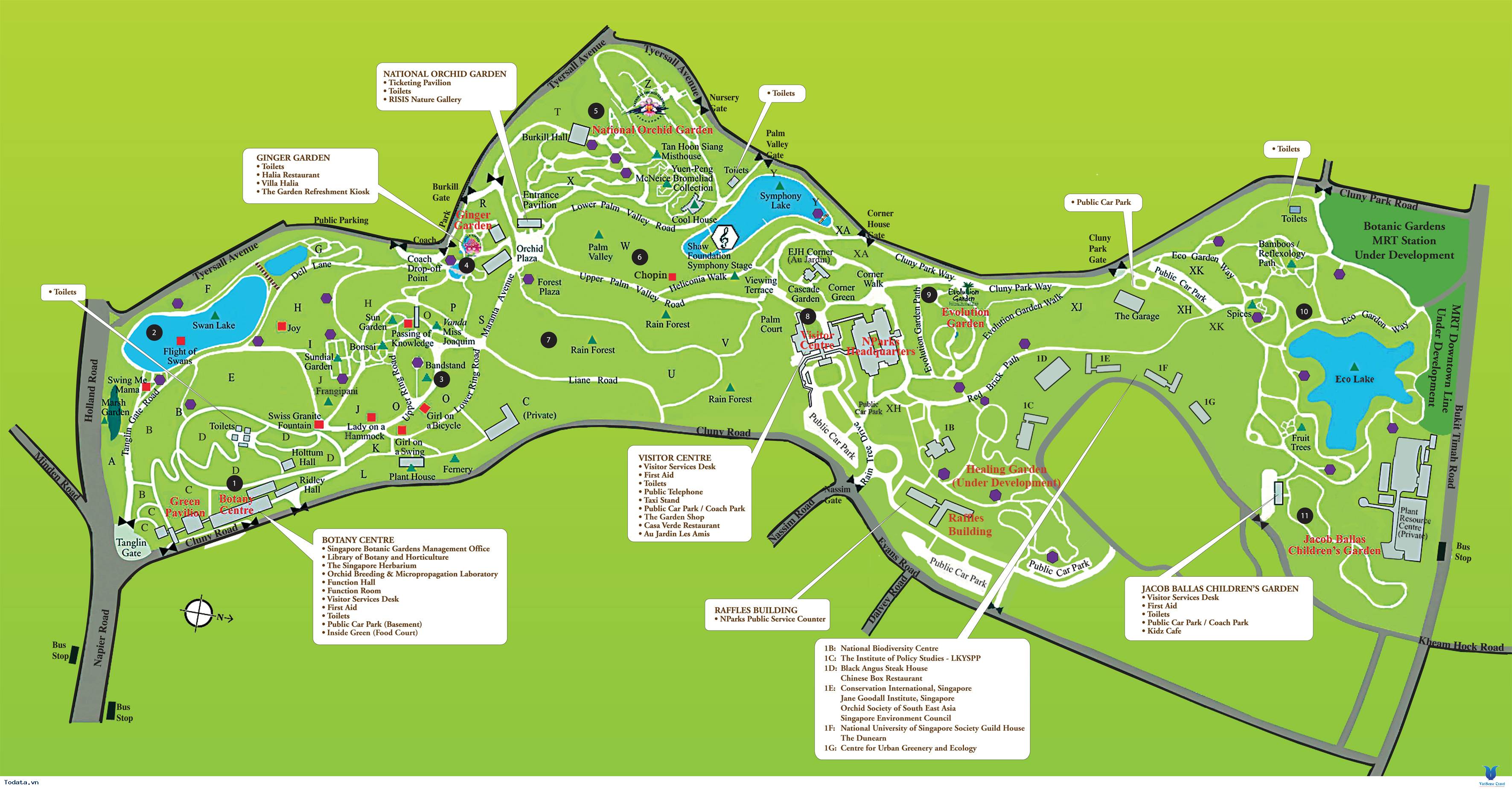 Khám Phá Thế Giới Thực Vật Tại Vườn Bách Thảo Của Singapore - Ảnh 2 Khám Phá Thế Giới Thực Vật Tại Vườn Bách Thảo Của Singapore - Ảnh 2