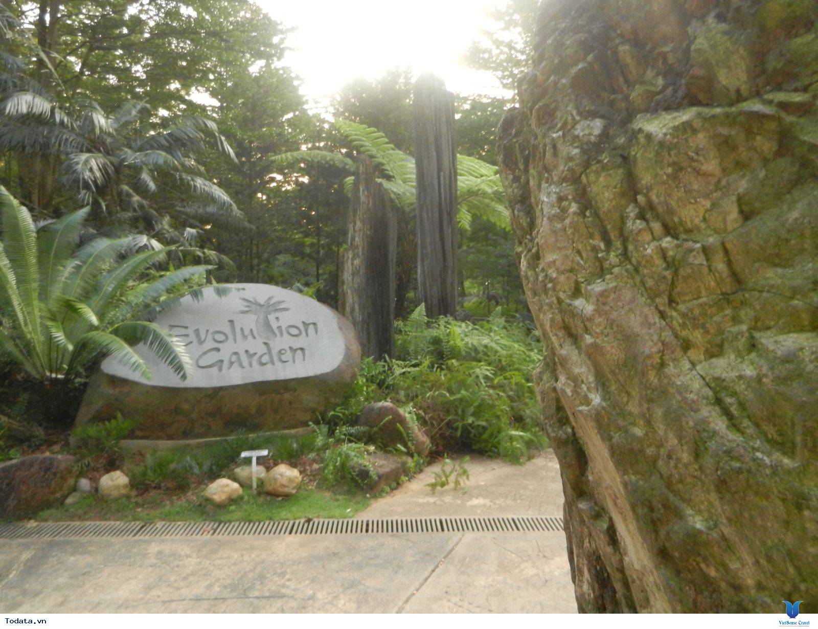 Khám Phá Thế Giới Thực Vật Tại Vườn Bách Thảo Của Singapore - Ảnh 11 Khám Phá Thế Giới Thực Vật Tại Vườn Bách Thảo Của Singapore - Ảnh 11