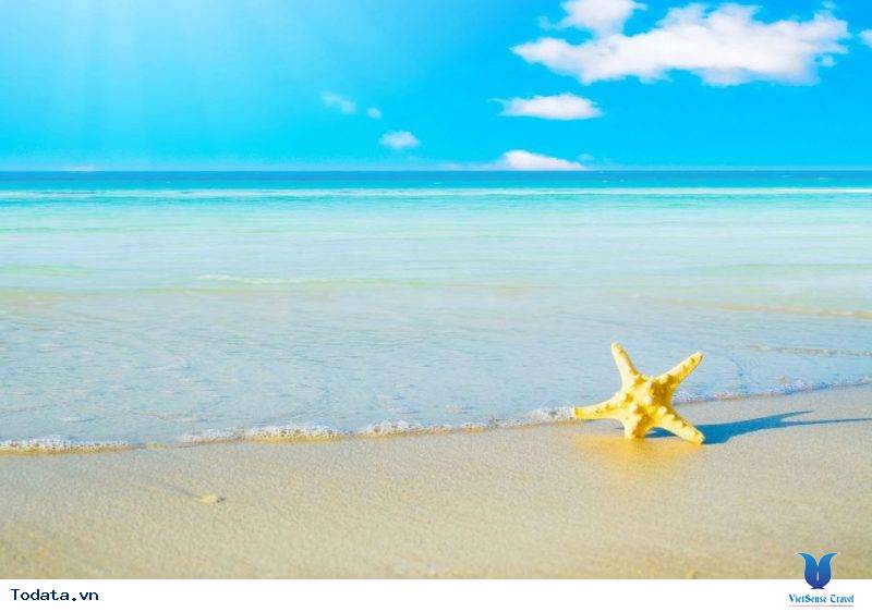 Khám Phá Vàn Chảy -Bãi Biển Hoang Sơ Nhất Cô Tô - Ảnh 8 Khám Phá Vàn Chảy -Bãi Biển Hoang Sơ Nhất Cô Tô - Ảnh 8