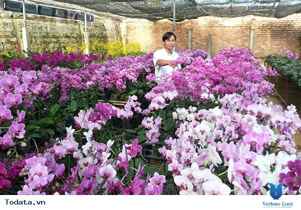 Khám phá vẻ đẹp của thành phố ngàn hoa - Ảnh 6 Khám phá vẻ đẹp của thành phố ngàn hoa - Ảnh 6