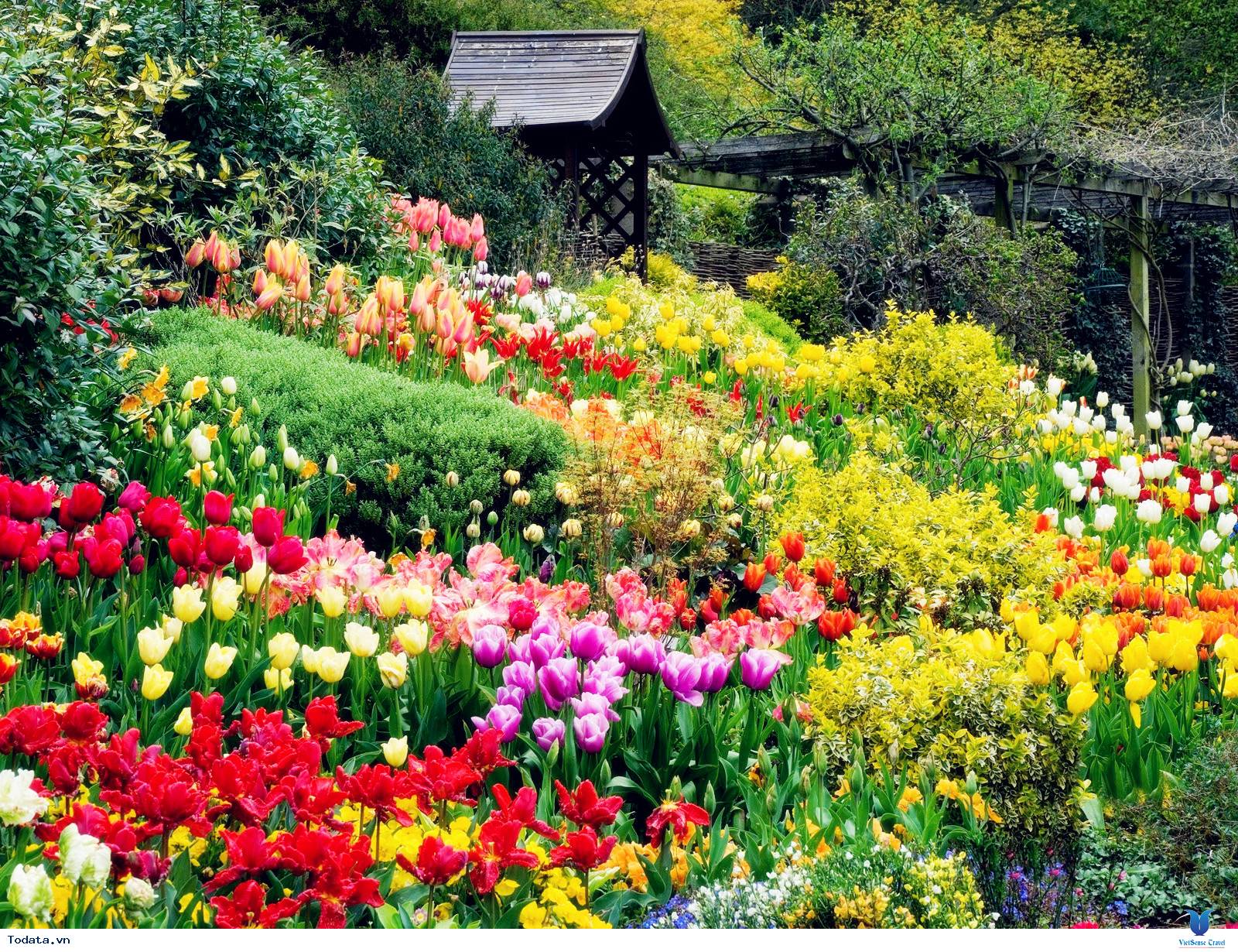 Khám phá vẻ đẹp của thành phố ngàn hoa - Ảnh 2 Khám phá vẻ đẹp của thành phố ngàn hoa - Ảnh 2