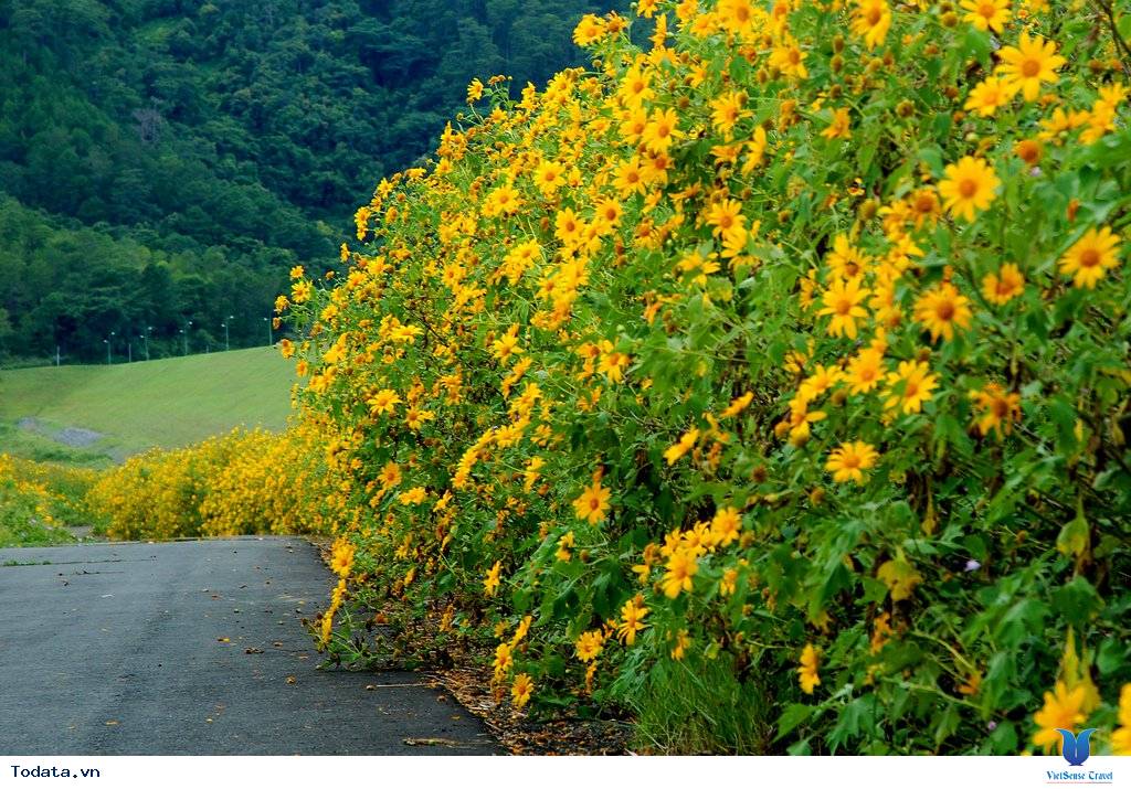 Khám phá vẻ đẹp của thành phố ngàn hoa - Ảnh 9 Khám phá vẻ đẹp của thành phố ngàn hoa - Ảnh 9