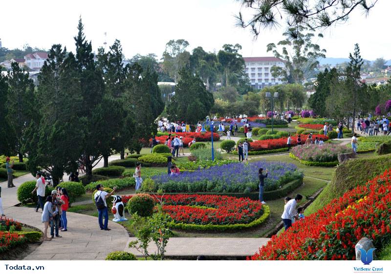 Khám phá vẻ đẹp của thành phố ngàn hoa - Ảnh 1 Khám phá vẻ đẹp của thành phố ngàn hoa - Ảnh 1
