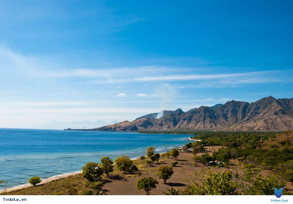 Khám phá vùng đất mới Pemuteran khi du lịch ở Bali - Ảnh 1 Khám phá vùng đất mới Pemuteran khi du lịch ở Bali - Ảnh 1