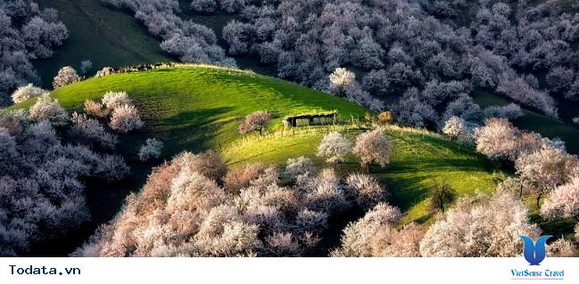 Khám phá vùng thảo nguyên đẹp như tranh vẽ ở Trung Quốc - Ảnh 3