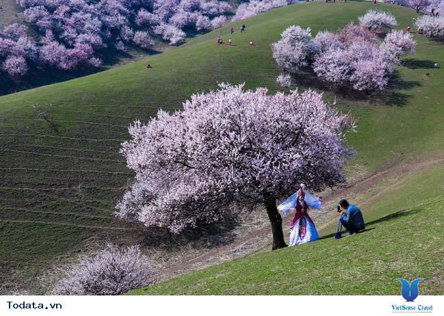 Khám phá vùng thảo nguyên đẹp như tranh vẽ ở Trung Quốc - Ảnh 5