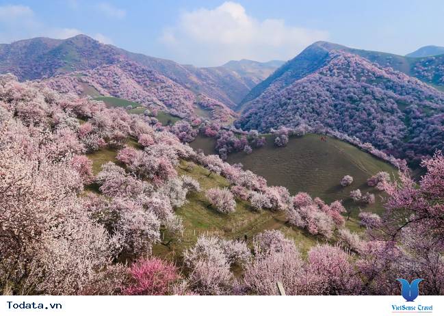 Khám phá vùng thảo nguyên đẹp như tranh vẽ ở Trung Quốc - Ảnh 4