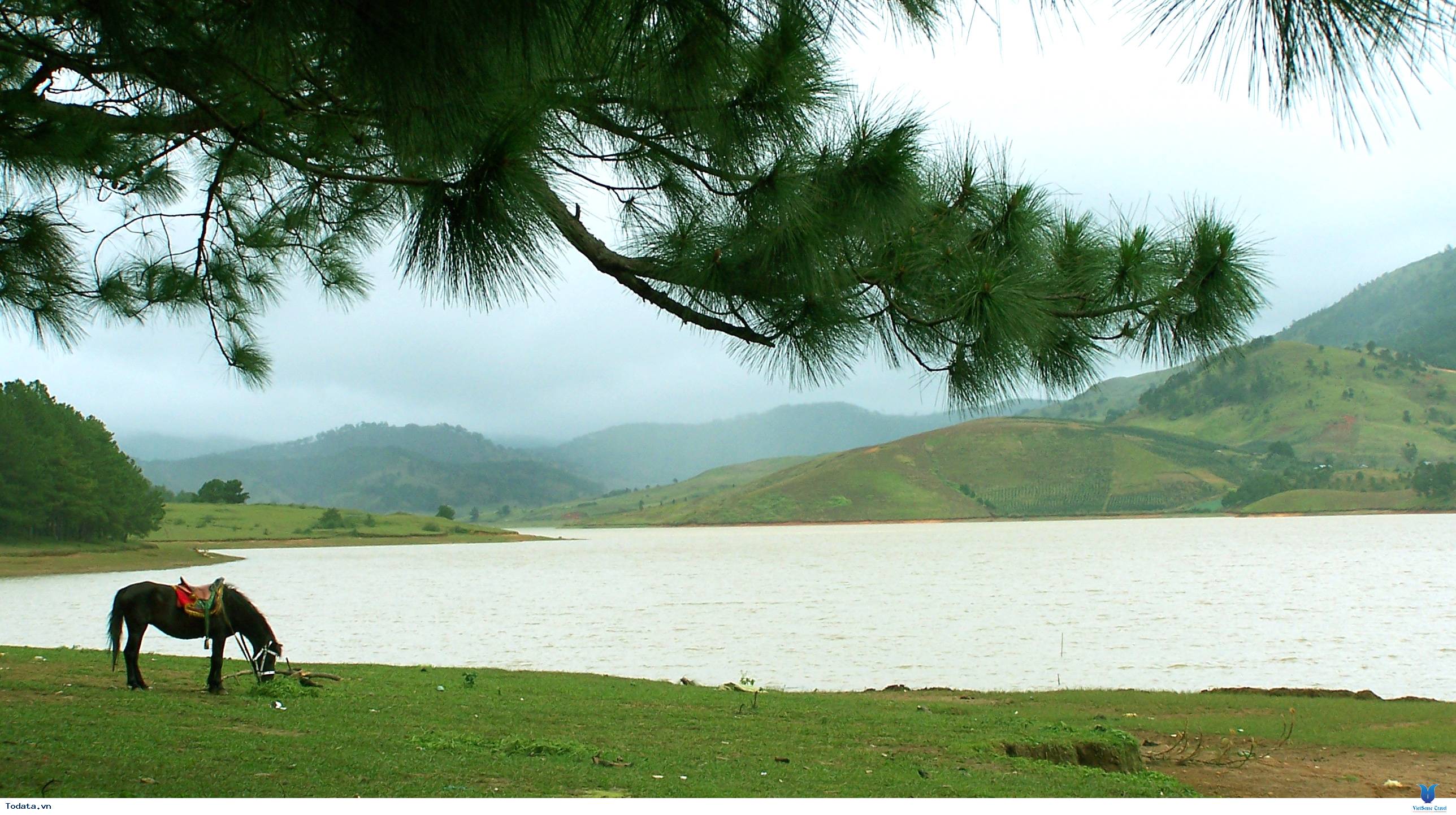 Khu du lịch Hồ Suối Vàng Đà Lạt - Ảnh 5 Khu du lịch Hồ Suối Vàng Đà Lạt - Ảnh 5