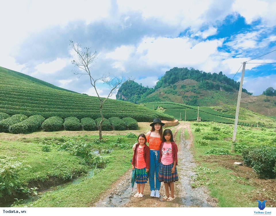 Kinh nghiệm đi du lịch Mộc Châu tự túc 2 ngày 1 đêm - Ảnh 5