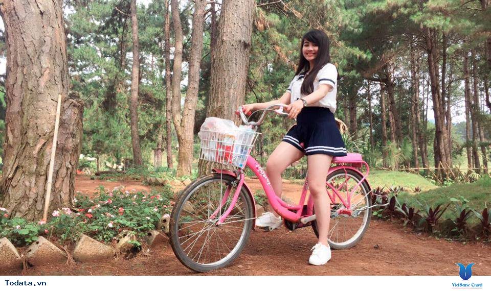 Kinh nghiệm đi du lịch Mộc Châu tự túc 2 ngày 1 đêm - Ảnh 10