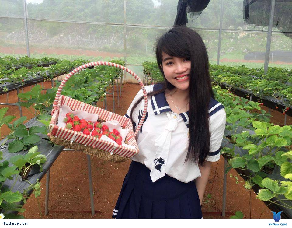 Kinh nghiệm đi du lịch Mộc Châu tự túc 2 ngày 1 đêm - Ảnh 12