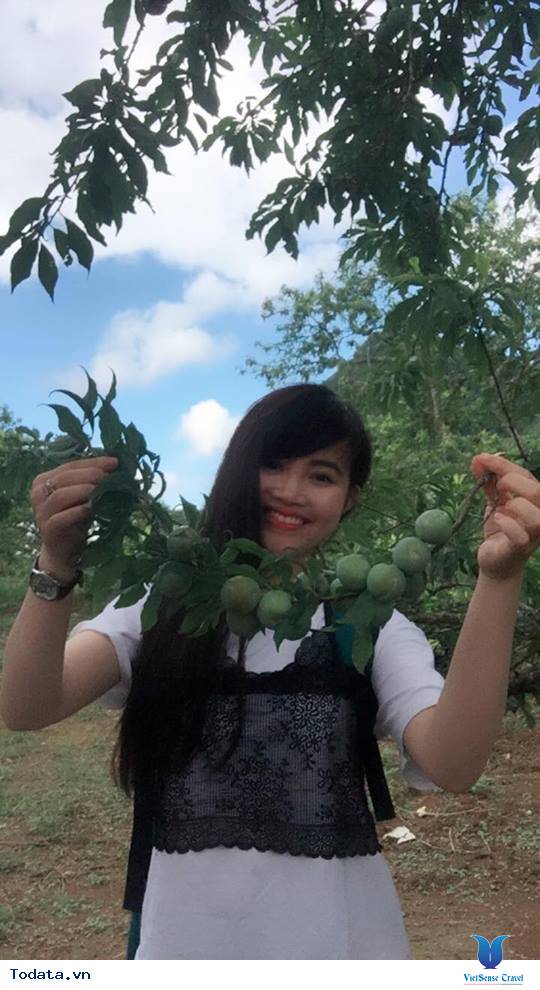 Kinh nghiệm đi du lịch Mộc Châu tự túc 2 ngày 1 đêm - Ảnh 6