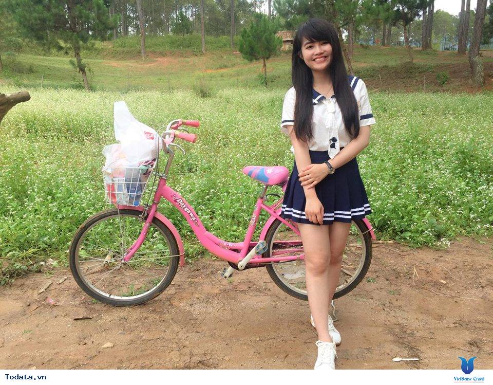 Kinh nghiệm đi du lịch Mộc Châu tự túc 2 ngày 1 đêm - Ảnh 11