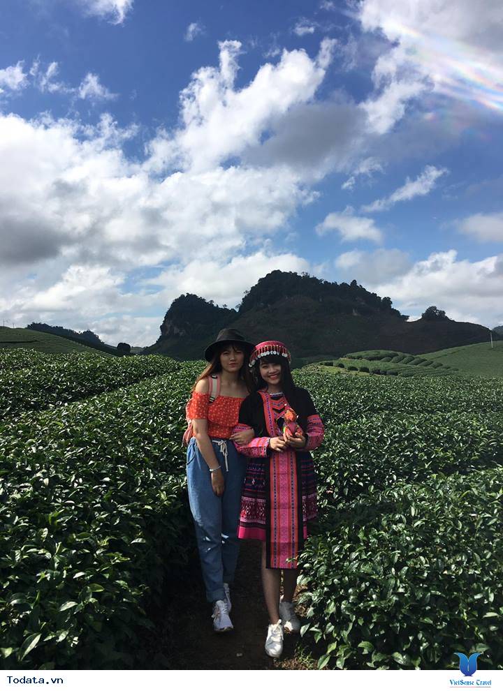 Kinh nghiệm đi du lịch Mộc Châu tự túc 2 ngày 1 đêm - Ảnh 3