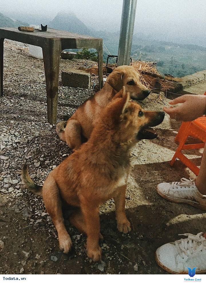 Kinh nghiệm đi du lịch Mộc Châu tự túc 2 ngày 1 đêm - Ảnh 17