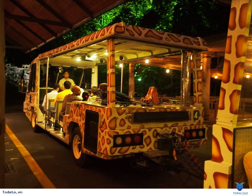 Kinh Nghiệm Du Lịch Đến Night Safari - Ảnh 3